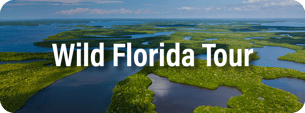 Wild Florida Tour - Add-On2 Card2
